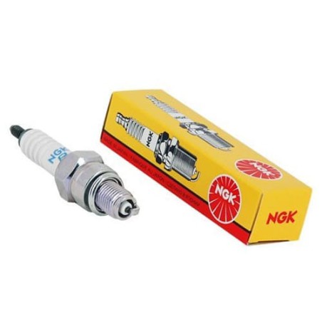 Ngk BKR5E11 6953 Bougie Standard